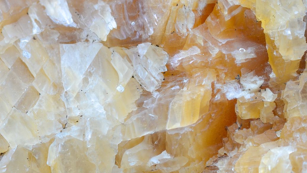 臨沂嘉禾新材料科技有限公司-松香改性樹(shù)脂